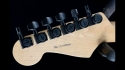 Fender American Professional Maple Fingerboard, Antique Olive Stratocaster