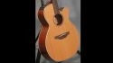 Takamine EAN40C Acoustic Sold