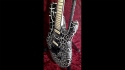 Jackson DK2M Pro Series Black & White Crackle Sold