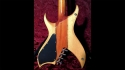 BC Rich Bich Supreme 10 String Natural Sold