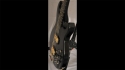 Carvin LB50 Sold