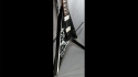 Jackson RR5FR 30th Anniversary Black with White Graphic Sold