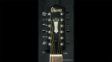 Ibanez 2846-12 Vintage 1976 N/A