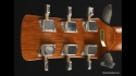 Gibson Music Yo-100 Autographed By Many Country Icons Sold