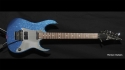 Ibanez RG570FBL Sold