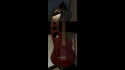 Big Johnson Acoustic 5 String Custom Bass 20