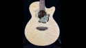 Luna Fauna Butterfly Acoustic Electric Sold