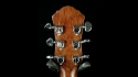 Michael Kelly Arena Rose Deluxe Acoustic/Electric with Cutaway