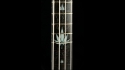 Abstract Custom Bass Build for Client