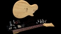 LJ-10 Economy Single Cut Guitar Kit by Saga