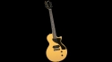 LJ-10 Economy Single Cut Guitar Kit by Saga