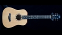 Taylor BT-1 Baby Taylor Acoustic Guitar