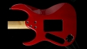 Scorpion Transparent Red 06017