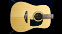 Washburn Lyon LG2PAK Acoustic Guitar