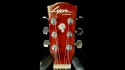 Washburn Lyon LG2PAK Acoustic Guitar