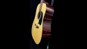 Washburn Lyon LG2PAK Acoustic Guitar