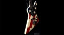 Hamer USA Blitz Bass USAF Graphic Sold