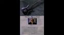 Ibanez JS90HAM Sold