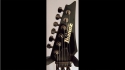 Ibanez RG20051LTD Sold