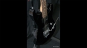 Jackson JS-30 DK in Black Gloss Finish Sold