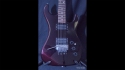 Kramer Pacer Series 1983 Black Cherry USA Sold