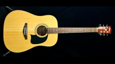 Washburn Lyon LG2PAK Acoustic Guitar