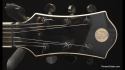 Abstract JD Owned & Played by Paul Crook (Meatloaf)