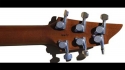 Breedelove Mark IV Sold