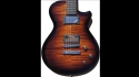 Breedelove Mark IV Sold