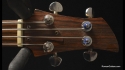 Dan Armstrong Vintage 4 String Bass