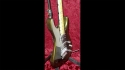Rockmace Sold