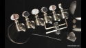BC Rich Bich Custom Owned & Played by Miko Weaver (Prince)