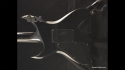 BC Rich Bich Custom Owned & Played by Miko Weaver (Prince)