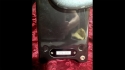 Steinberger L2 Bass 676 Sold