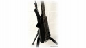 Steinberger L2 Bass 676 Sold