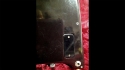 Steinberger GL2T - Not Available