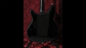 Unknown Brand Semi-Hollow Sold