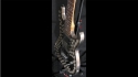 Abel Axe Sold