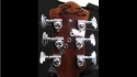 BC Rich Bich Supreme 10 String Natural Sold