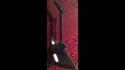 Abstract Wanderer Custom Build Sold