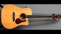Alvarez Yairi Masterworks DYM95C Sold