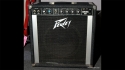 Peavey Basic 40 Bass Amplifier Sold