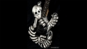 J. Frog Skull & Bones Used Sold