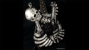 J. Frog Skull & Bones Used Sold