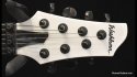 Washburn DD-67 Seven String Owned & Played by Paul Crook (Meatloaf) Sold