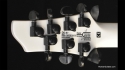 Washburn DD-67 Seven String Owned & Played by Paul Crook (Meatloaf) Sold
