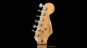 Fender Stratocaster Plus with Custom Graphic Sold