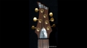 Quicksilver Traditional Sold