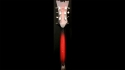 Mosrite Celebrity Vintage 1967 Red Sold