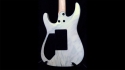 J. Frog Glock 24 White Marble Sold